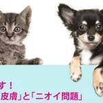 オゾ．ブルースター 　高性能のポータブルオゾン水生成器AQUA-X100D